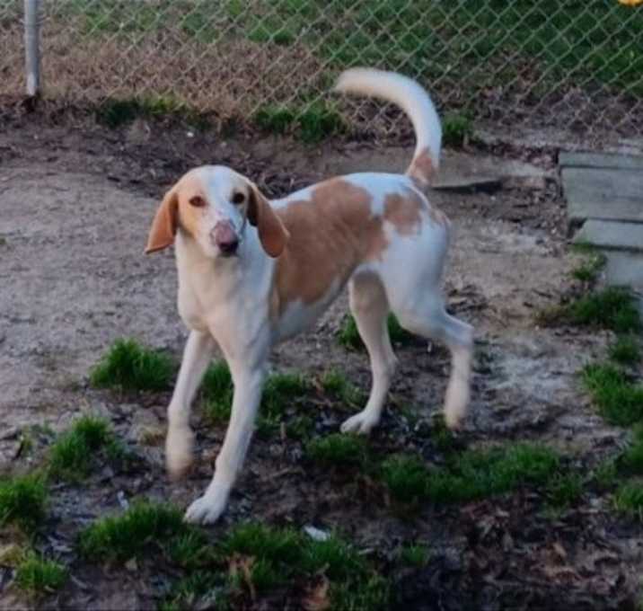 Photo of Delilah