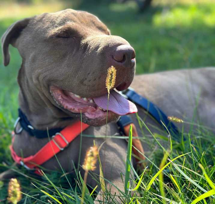 Photo of Max
