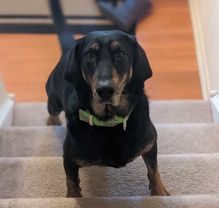 Photo of Max