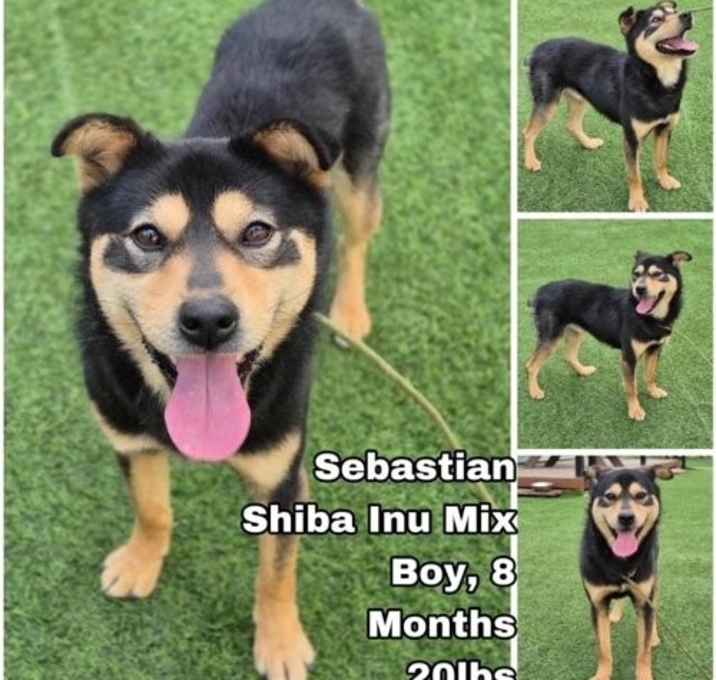 Photo of Sebastian from Korea