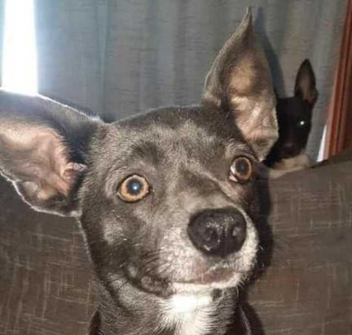 Photo of Sofie