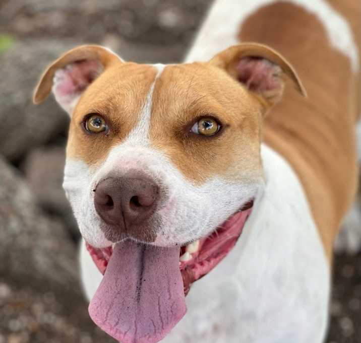 Photo of Gucci