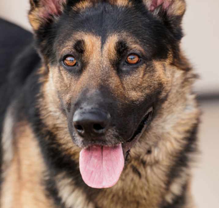 Photo of Titus
