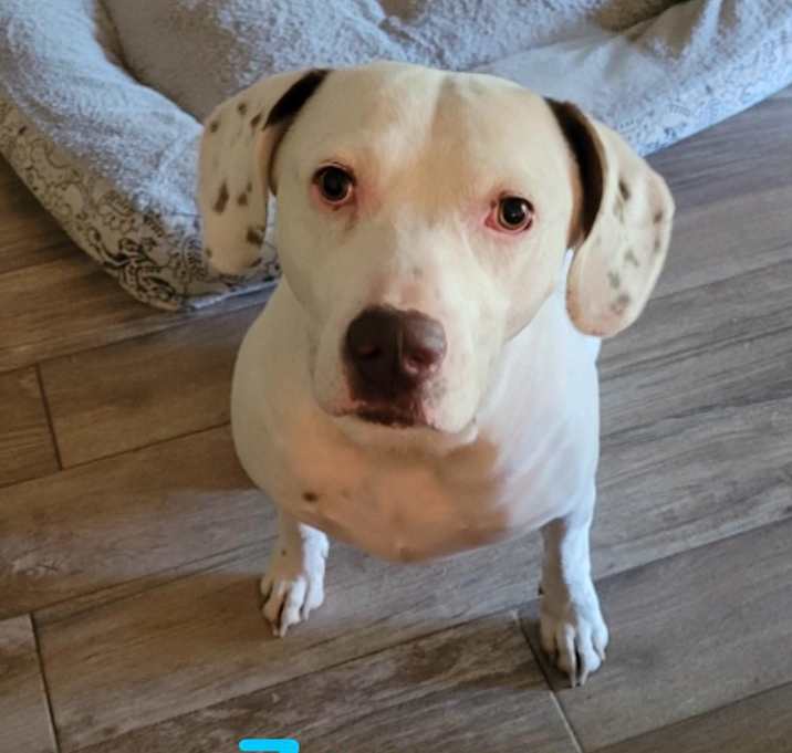 Photo of ZEUS