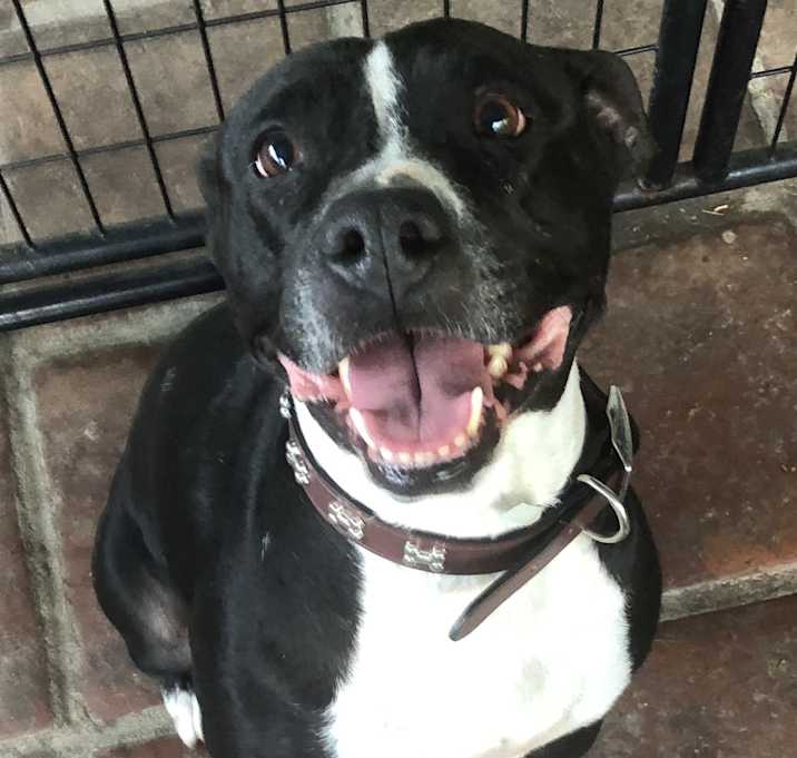 Photo of Maya Unchained