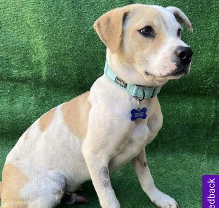 Photo of Paco
