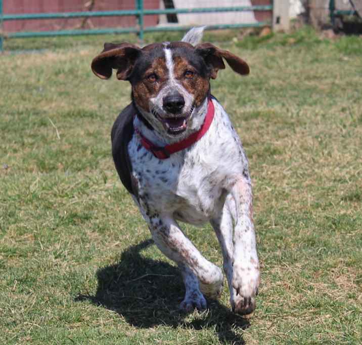 Photo of Gator