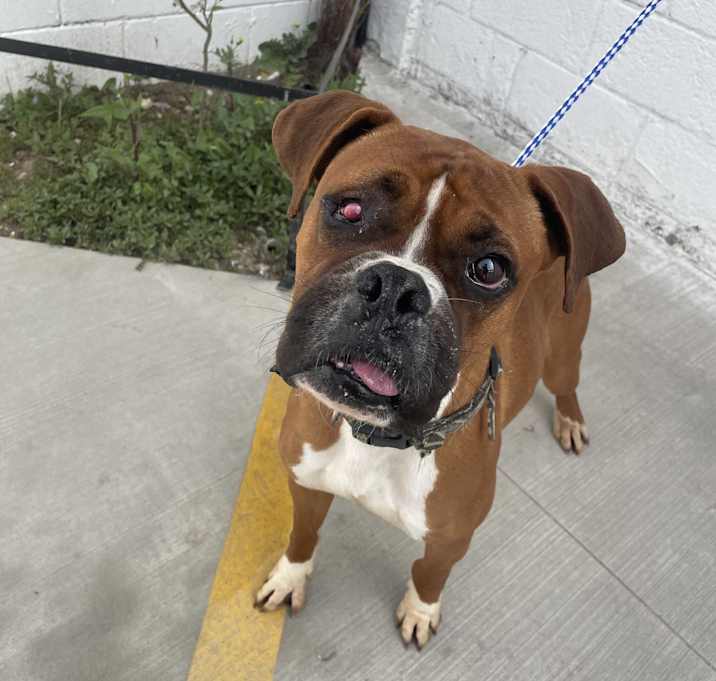 Photo of Fetty
