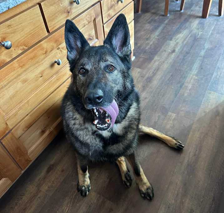 Photo of Gunner