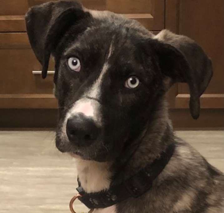 Photo of Tiny Zoe