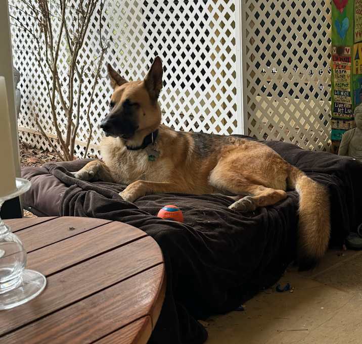 Photo of Maxx
