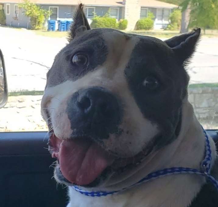 Photo of Kody