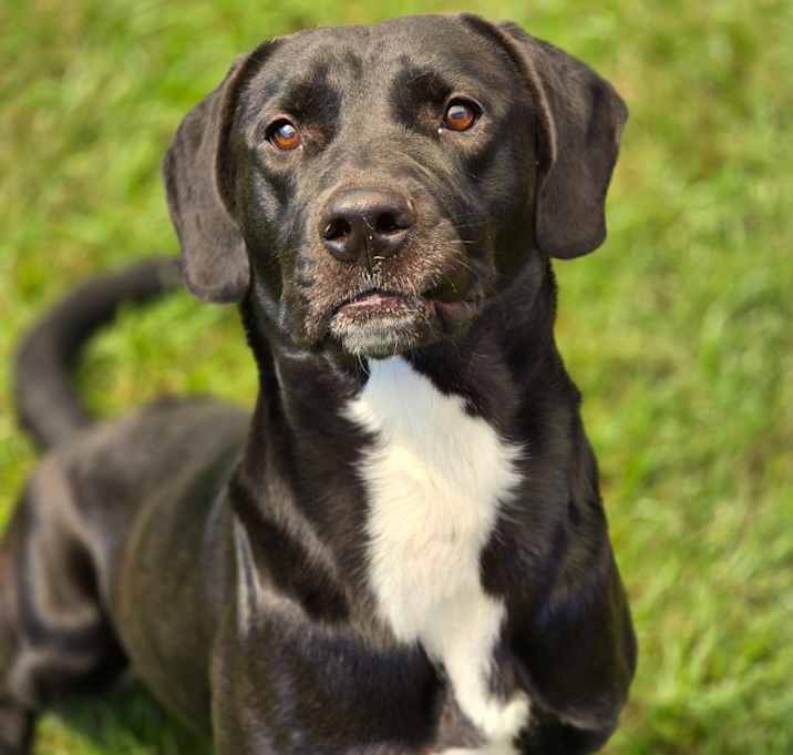 Photo of Timber