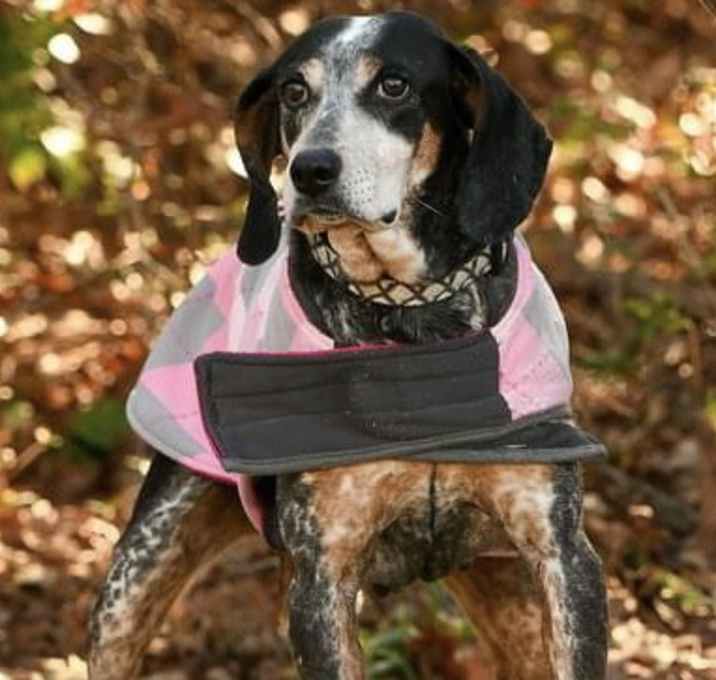 Photo of Pepper
