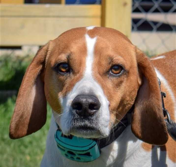 Photo of Bagel