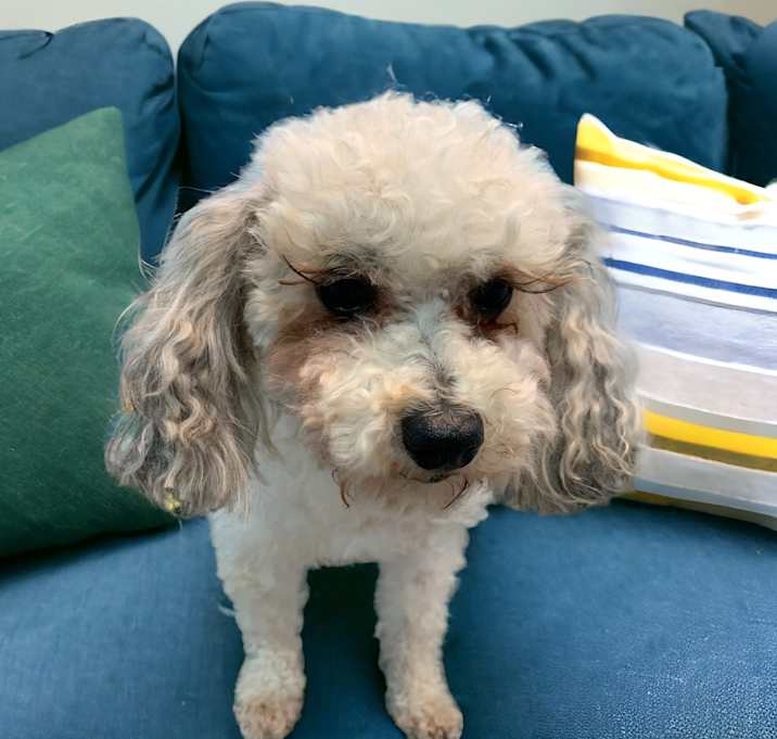 Photo of Elinor