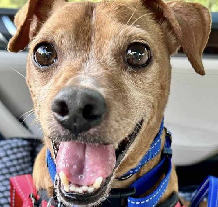 Photo of Oliver
