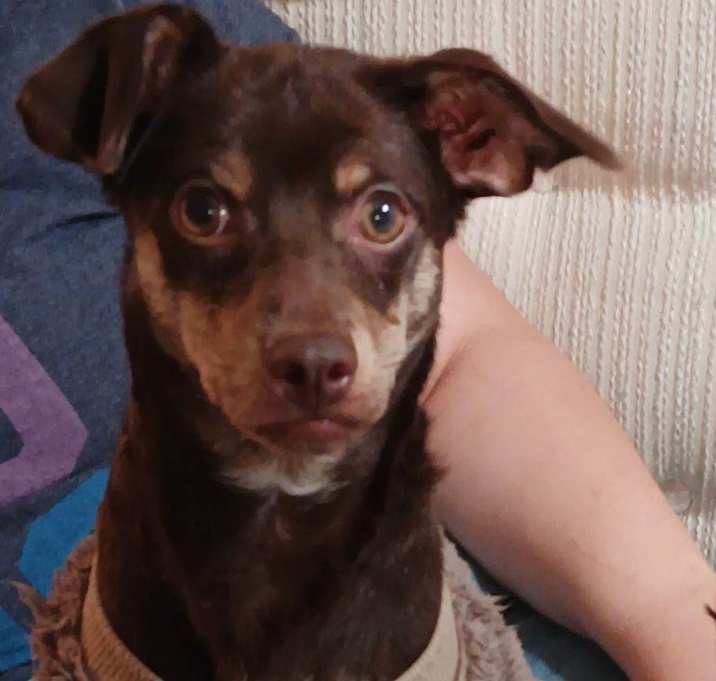 Photo of Oliver  Ollie