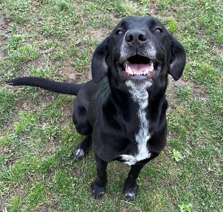 Photo of Maybella
