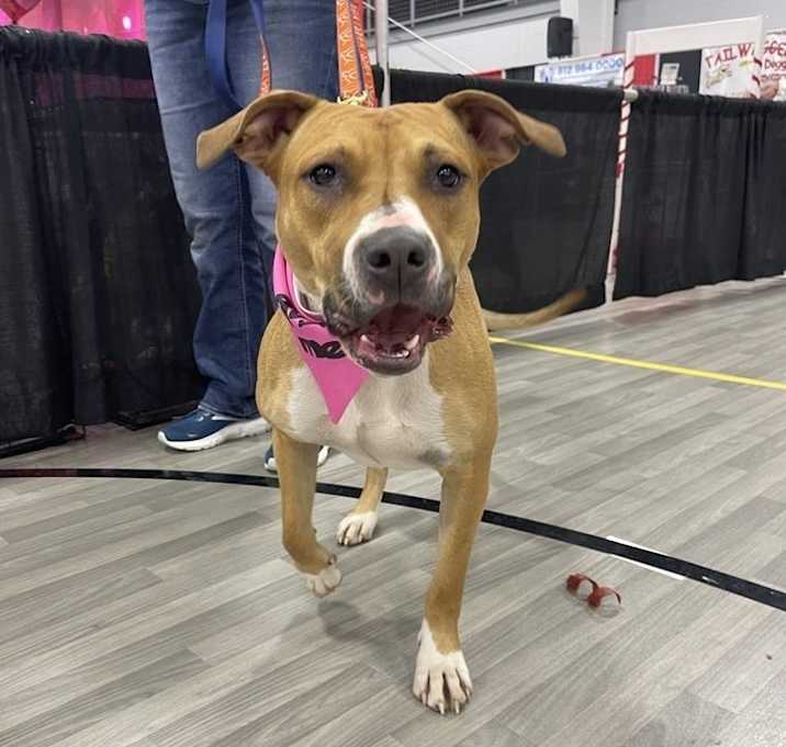 Photo of Candy