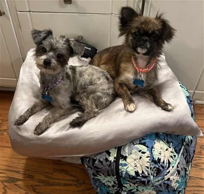 Photo of Athena and Scarlett