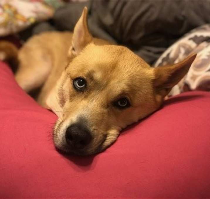 Photo of BANE (COURTESY POST)