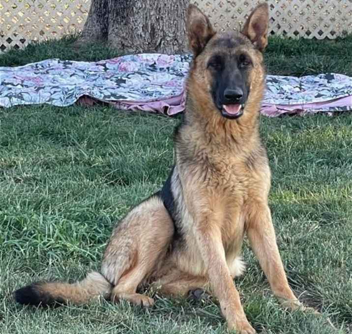 Photo of Skye