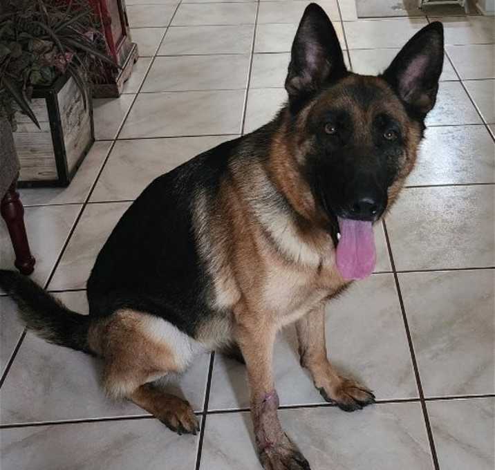Photo of MILA