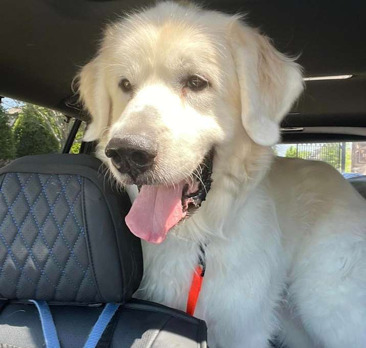 Photo of Brody