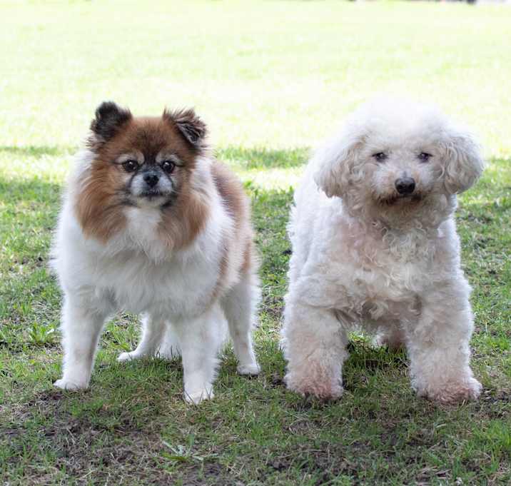 Photo of Lulu