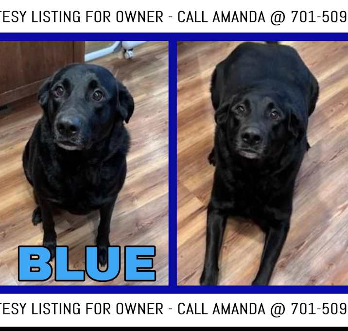 Photo of Blue-COURTESY LISTING FOR OWNE
