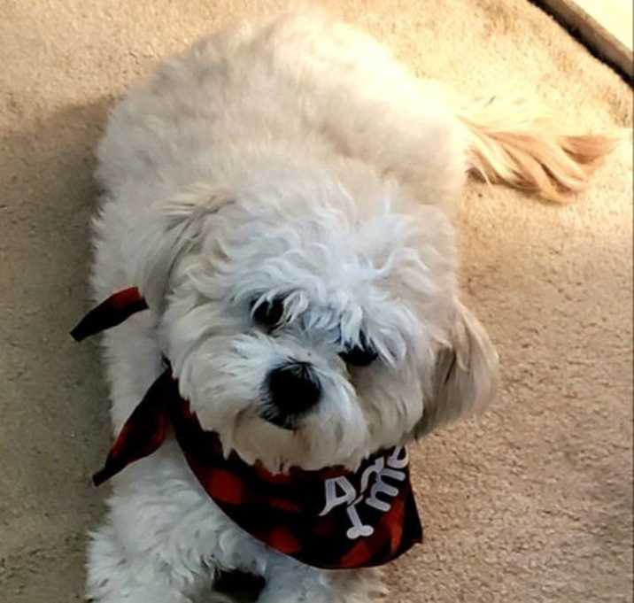 Photo of Newton