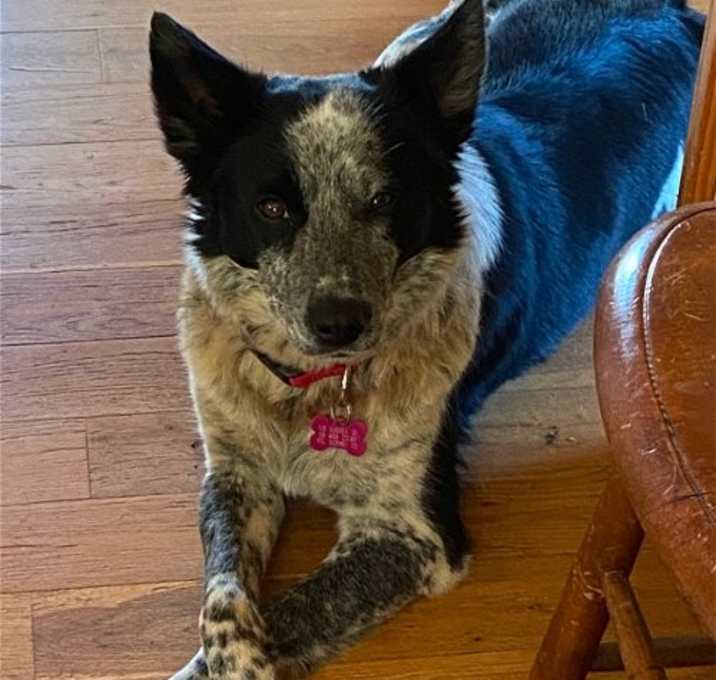 Photo of Zoe