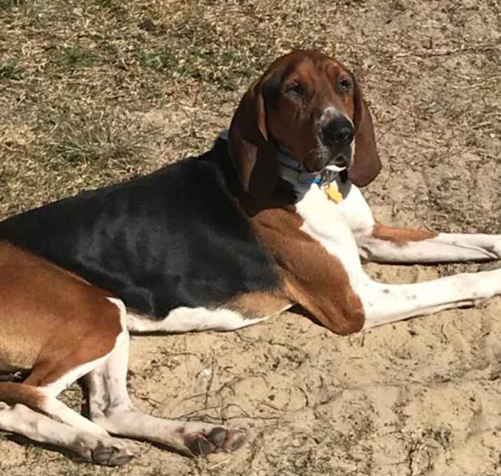 Photo of George