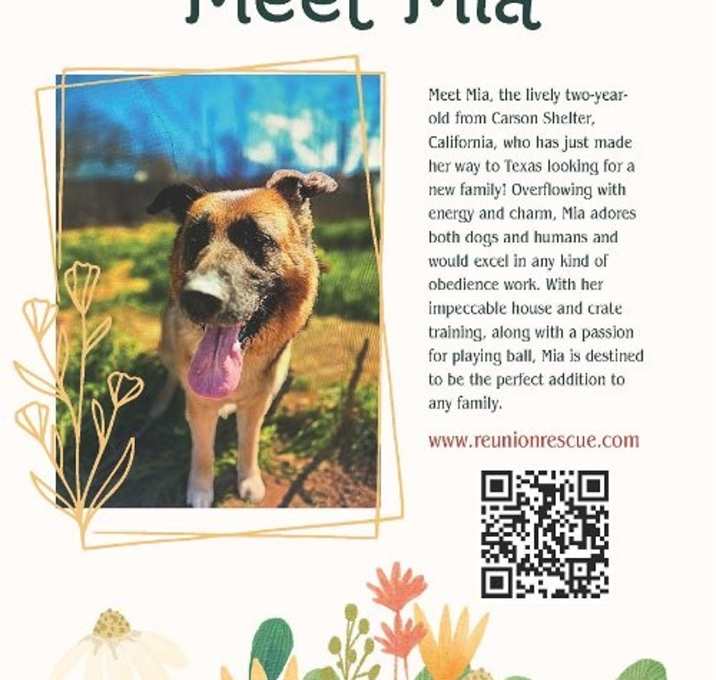 Photo of Mia
