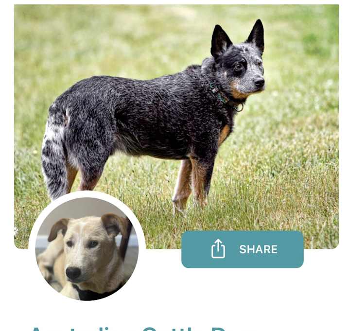 Photo of Kenji