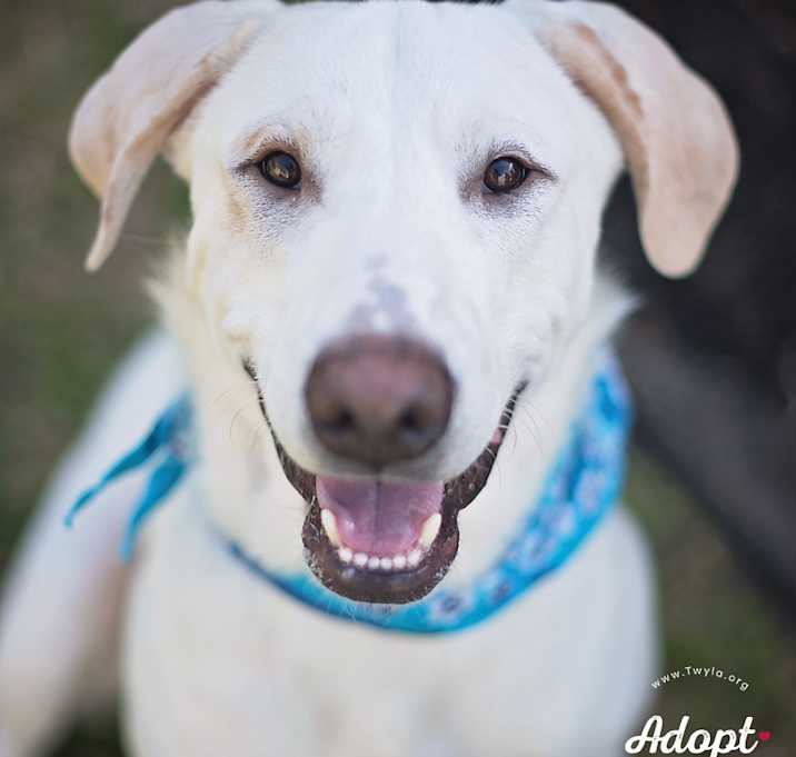 Photo of Charlie Brown