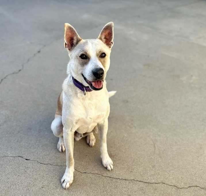 Photo of Bingo