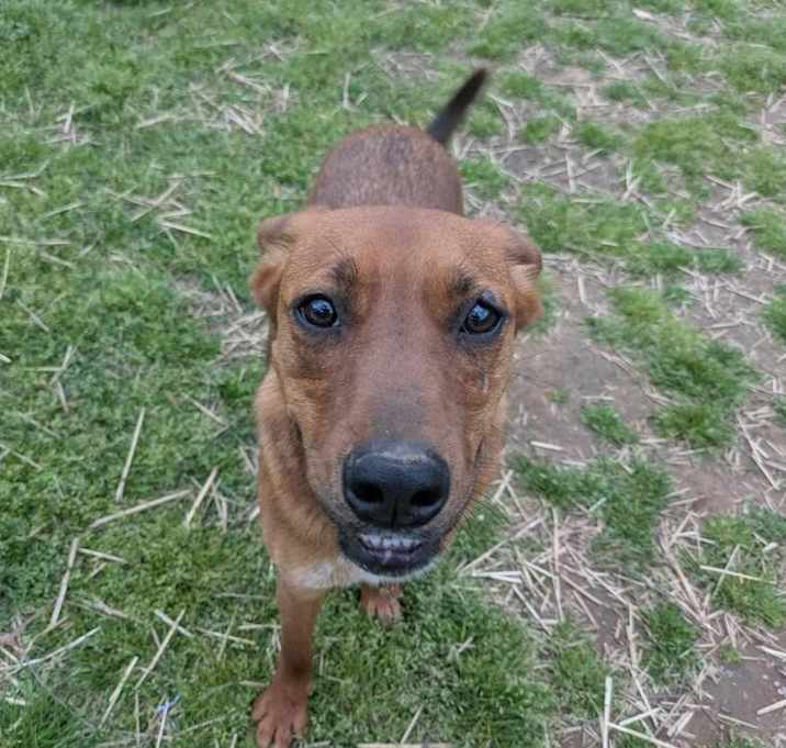 Photo of Emerald