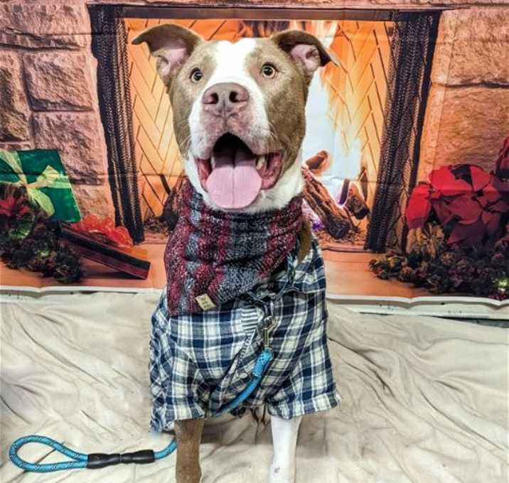Photo of Jonah