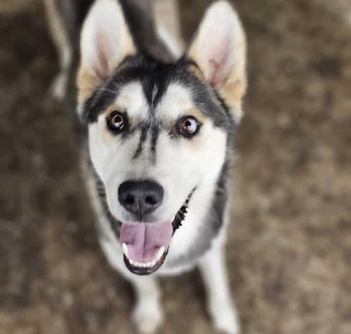 Photo of Bounty