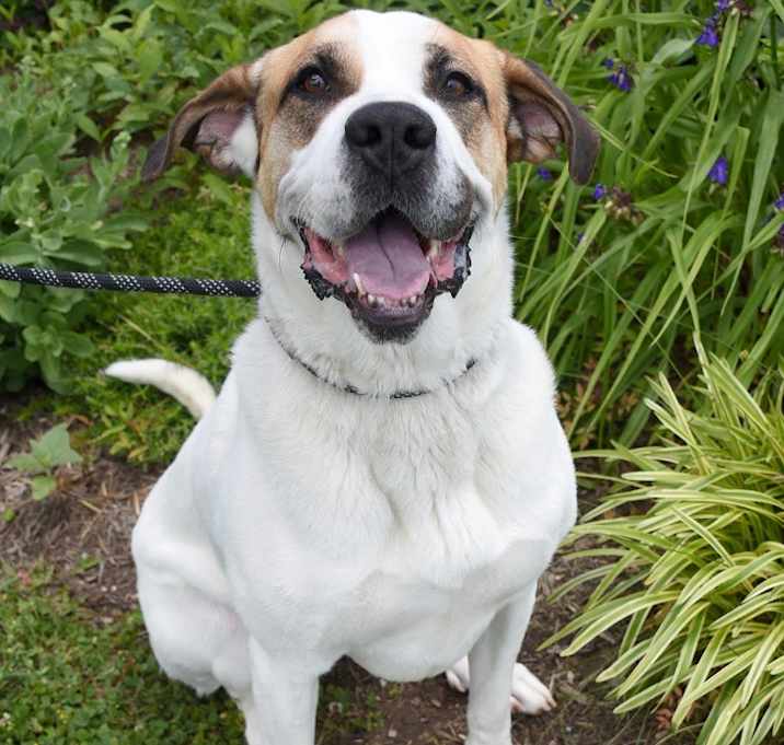 Photo of Ruby *Sponsored Adoption