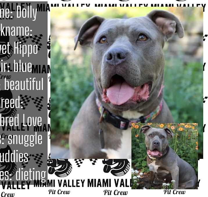 Photo of Dolly