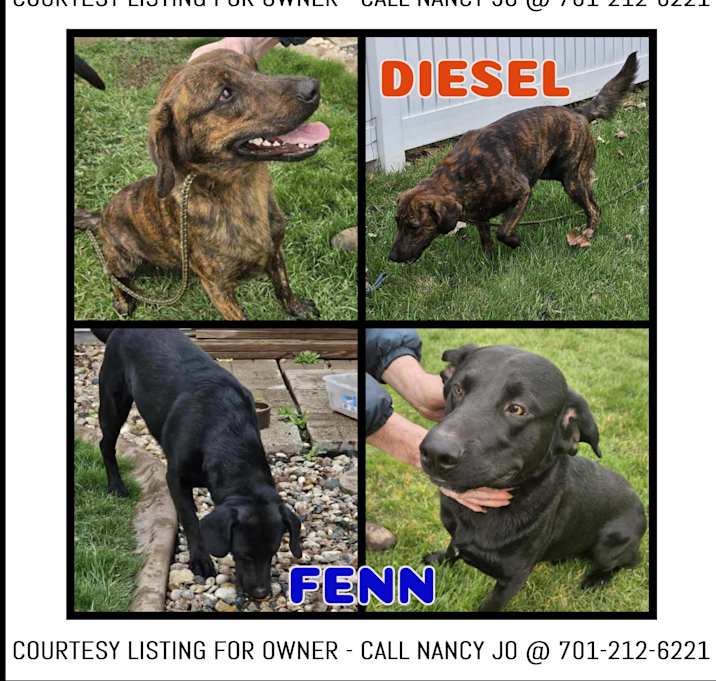 Photo of Fenn & Diesel-COURTESY LISTING