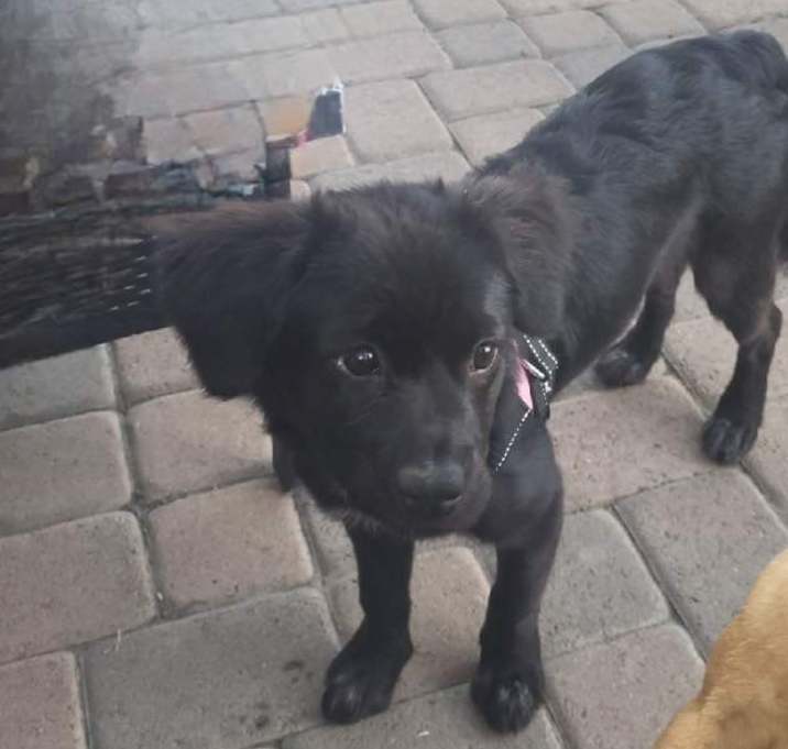 Photo of Missy