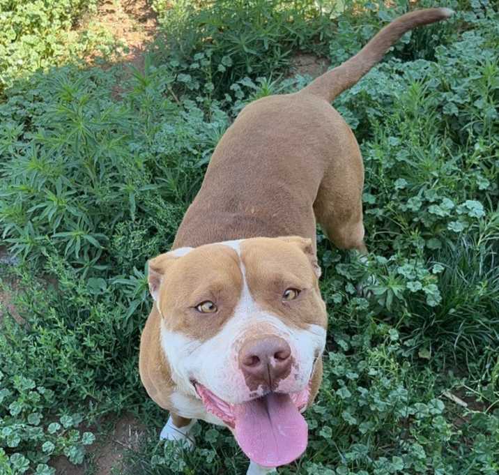 Photo of Duke