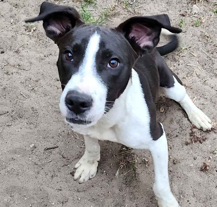 Photo of Hershey