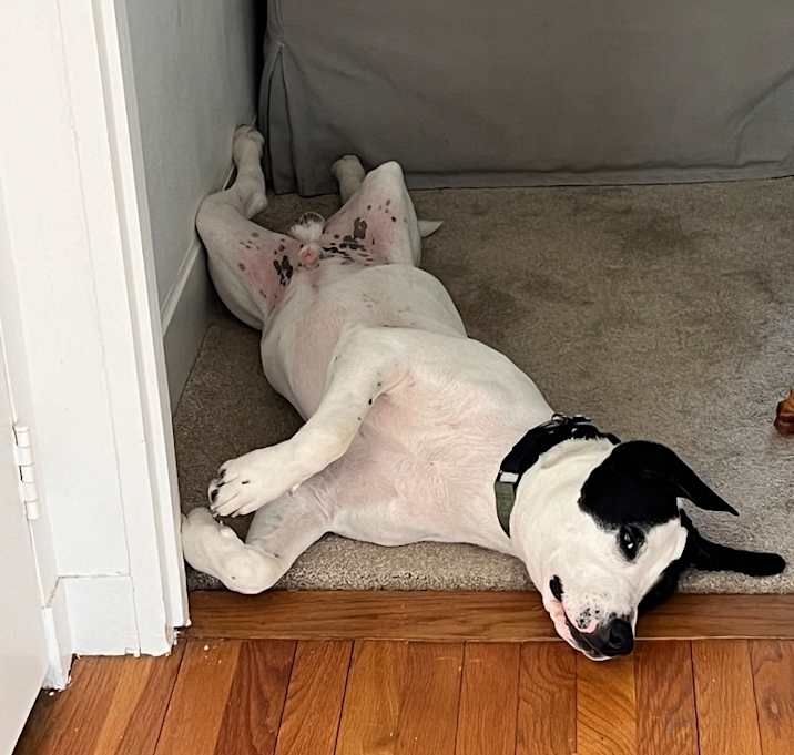 Photo of Benny
