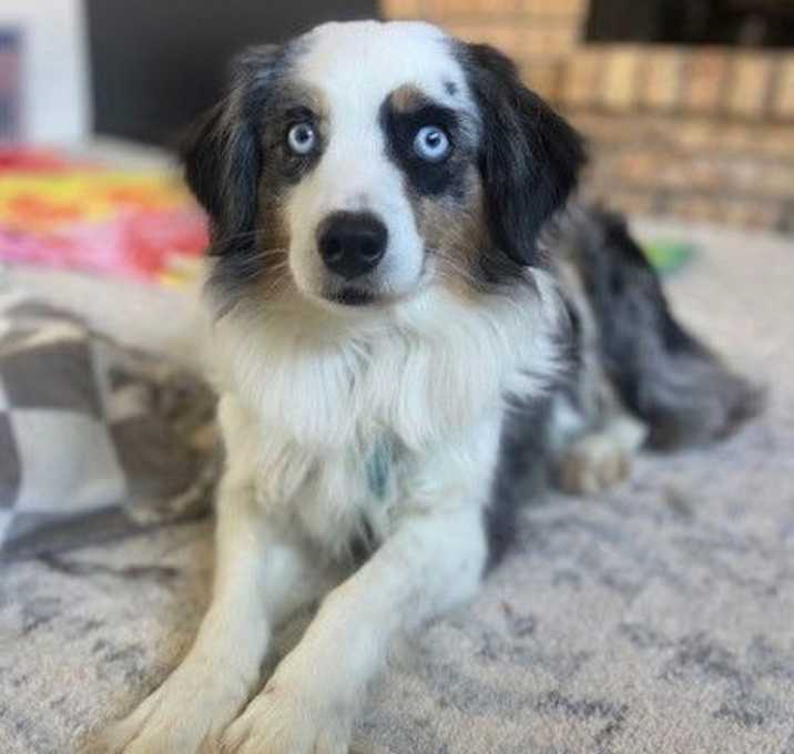 Photo of Star