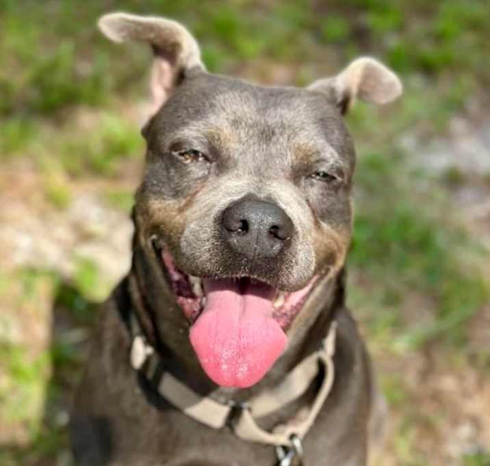 Photo of Sandra-FEE FULLY SPONSORED!